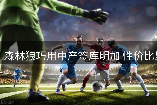 森林狼巧用中产签库明加 性价比显著提升球队实力