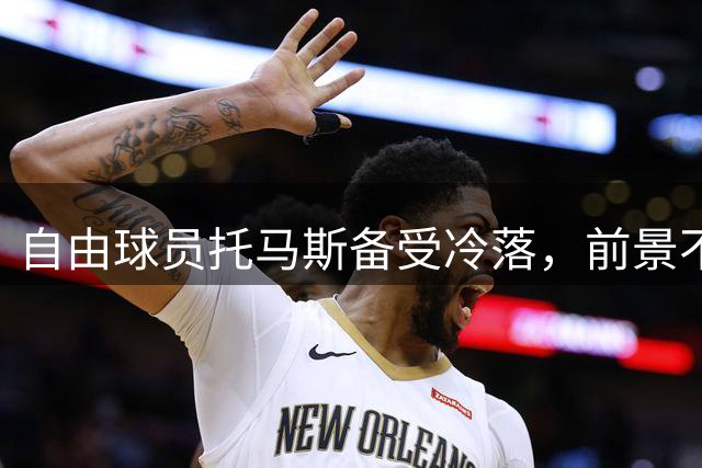 自由球员托马斯备受冷落，前景不被看好