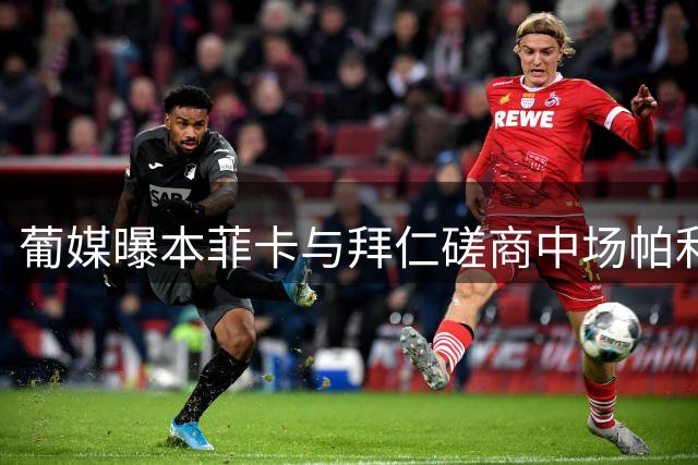 葡媒曝本菲卡与拜仁磋商中场帕利尼亚转会事宜